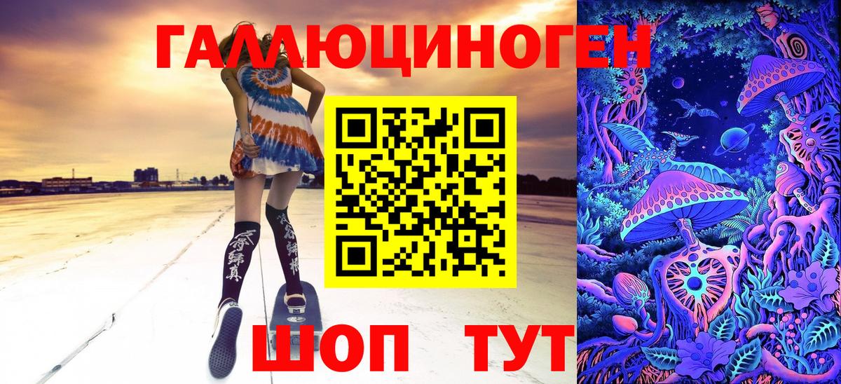 Галлюциногенные грибы Psilocybine cubensis Елабуга